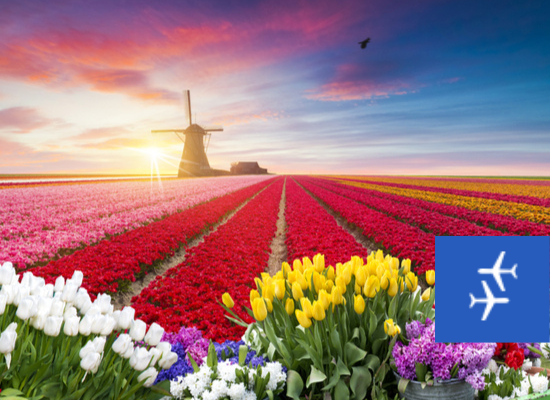 Bilety lotnicze do Eindhoven