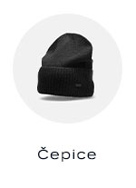Cepice