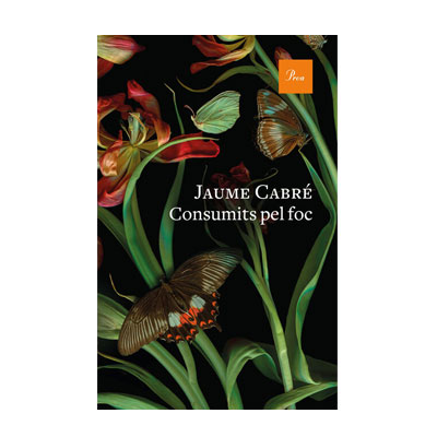 Consumits pel foc