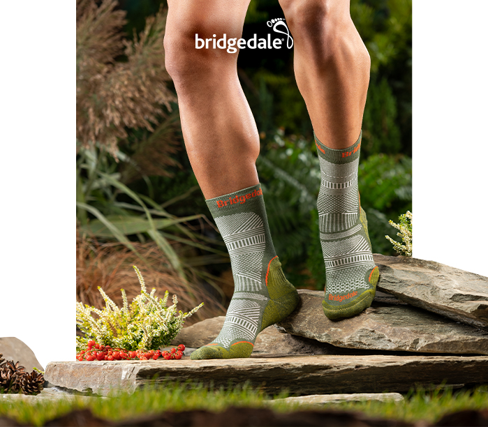 Bridgedale Hike