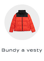 bundy a vesty