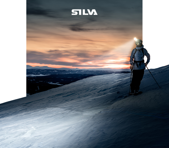 Silva