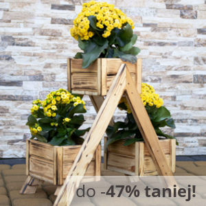 Nie widzisz grafiki? Kliknij tutaj, a nic Cię nie ominie!