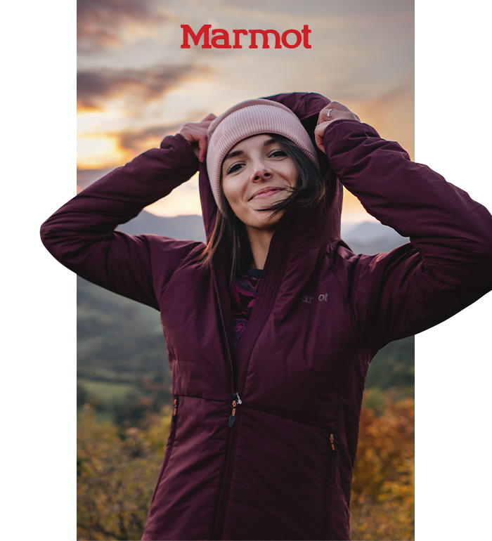 Marmot
